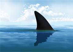 Communication Dangers: A Hidden Threat