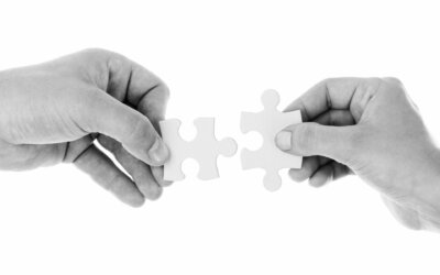 Building Trust on a Team